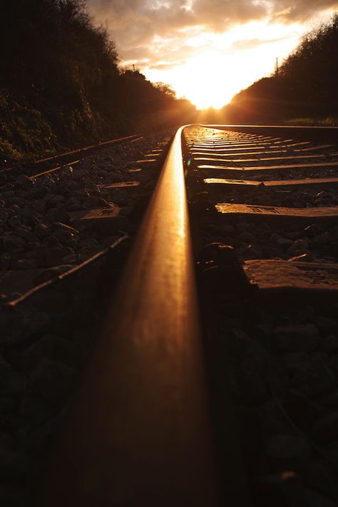 going home... Train Tracks Photography, My Love Photo, Train Whistle, Steam Trains, Beautiful View, Train Tracks, Train Travel, Image Hd, Photography Photos