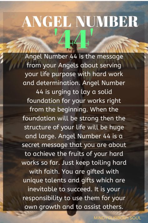 Angel Number 44 Meaning? What Does It Mean In Love? - Mind Your Body Soul 12345 Angel Number Meaning, Angel Numbers 1234 Meaning, 1234angel Number Meaning, 1234 Number Meaning, Angel Numbers 1234, 12:34 Meaning, 1234 Angel Number Meaning, 44 Angel Number, 1234 Meaning