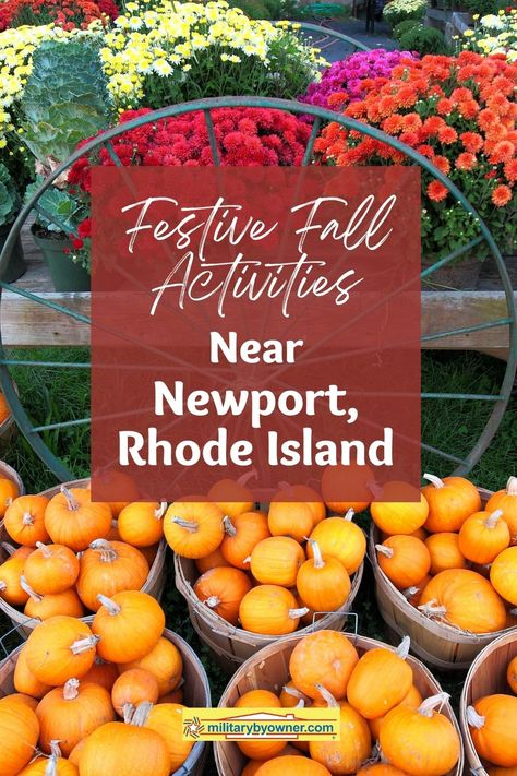 If you’re ready to say goodbye to summer and plan festive fall activities in September and October, use this guide to popular events near #Newport to help narrow your choices. #rhodeisland #fall #navy #militarylife Food Truck Festival, Goat Yoga, New England Road Trip, Fall Vegetables, New England Fall, Newport Rhode Island, Ghost Tour, Fall Hiking, Newport Ri