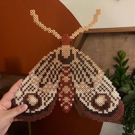 Luna Moth Perler Beads, Perler Bead Moth, Moth Perler Beads, Bug Perler Bead Patterns, Pearl Beads Ideas, Perler Creations, Melty Bead Patterns, Pearl Beads Pattern, Beads Art