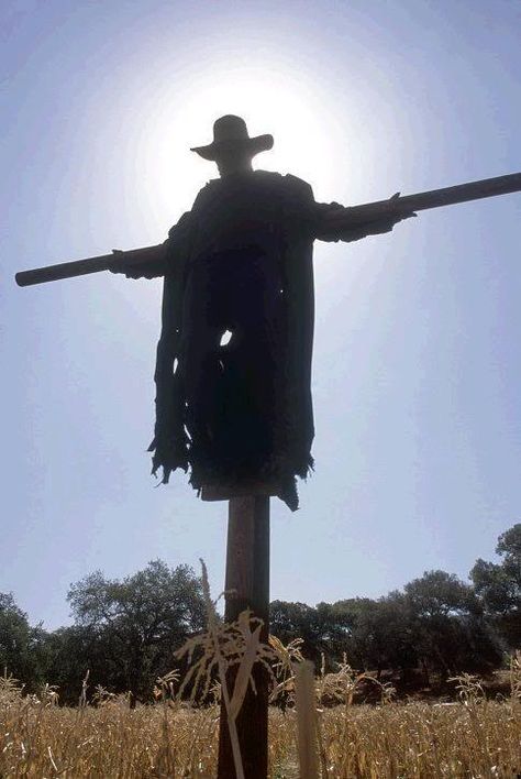 Jeepers Creepers 3, Haunted Trail Ideas, Deco Cinema, Image Meme, Haunted Hayride, The Creeper, Halloween Scarecrow, Haunted Forest, Jeepers Creepers