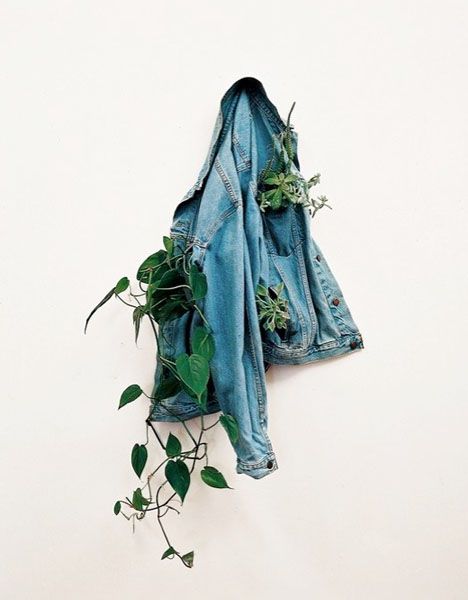 jacket as vessel? Could be more structured Daniel Richter, Adam Parrish, Tattoo Plant, Blue Sargent, Andy Goldsworthy, Denim Shorts Outfit, Plants Growing, Foto Art, Urban Wear