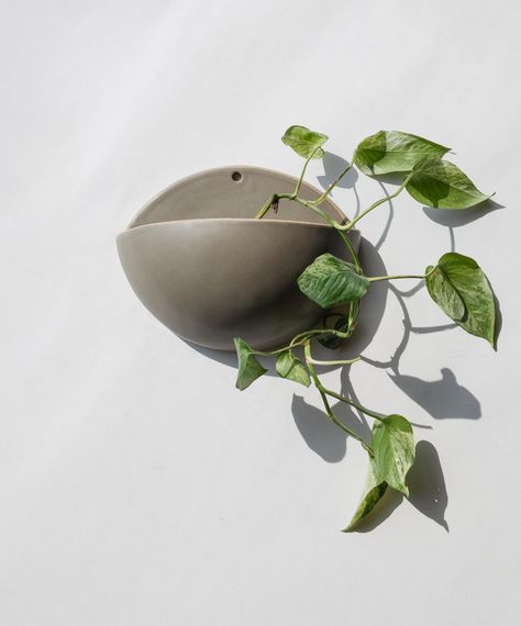 shop your newest wall planter this Friday! #planter #handmade #pottery #plantlover #virginiabeach Pottery Wall Planters, Planter Pottery, Plant Containers, Thrown Pottery, Pottery Planters, Wall Planter, July 12, Container Plants, Air Plants