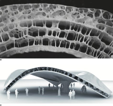 Bionic Design Architecture, Biomimicry Interior Design, Biomimicry Architecture Concept, Biological Architecture, Biomimicry In Architecture, Bionic Architecture, Biomimicry Design, Architecture Pavilion, Form Concept