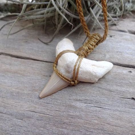 Stone Necklace Diy, Emmett Cullen, Sharks Teeth, Hamsa Necklace Gold, 50 Dollars, Small Gold Hoop Earrings, Diy Jewelry Gifts, Shark Tooth Necklace, Floating Necklace