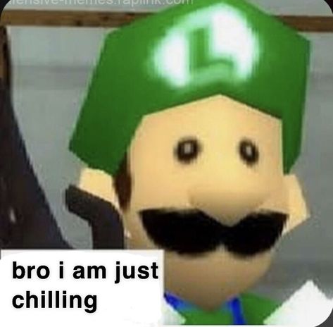 Eeeee Luigi Pfp, Pfp Twitter, Memes Relationships, No Ok, Mario Memes, Super Mario Art, Super Mario Brothers, Mario Brothers, Silly Images