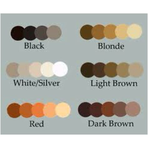 Hair color Brunette Hair Color Palette, Hair Colors Drawing Reference, Dark Brown Hair Color Palette, Hair Shading Color Palette, Brown Hair Colors Palette, Natural Hair Color Palette, Brown Hair Color Palette Digital Art, White Hair Pallete, Hair Color Chart Drawing