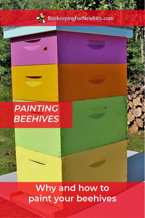 Should you paint your beehives? If you have pine boxes we think the answer is "yes...paint your hives."   Your beehives are exposed to the elements year round. The primary reason to paint the hive box exteriors is to protect them. There are other reasons you may   We'll give you information on what to paint and when not to paint, how bees see color and more.  #beekeeping #beekeepingequipment #honeybees #beehives #honeybees Painting Bee Hives Boxes, Painted Bee Hives Ideas, Painted Bee Boxes, Bee Hive Painting Ideas, Painting Bee Hives, Building A Beehive, Painted Bee Hives, Bee Hives Diy, Bee Hives Boxes