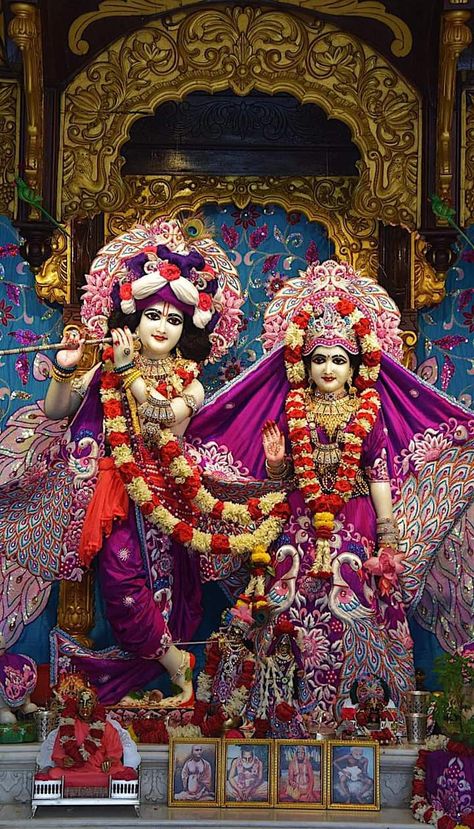 Kanha Pic, Radhakrishnan Images, Lord Krishna Photos, Bhagwan Images, Iskcon Radha Krishna, Navratri Songs, Dwarikadhish Hd Wallpaper, Vrindavan Photography, Bihari Ji