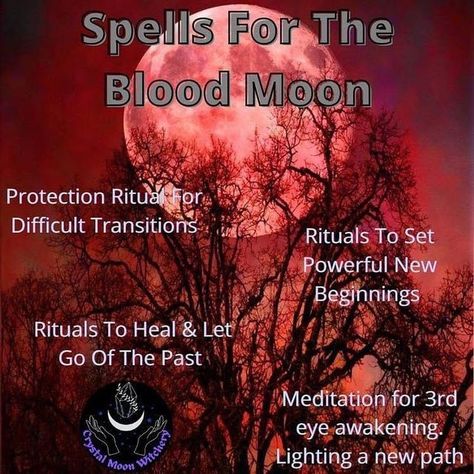 Red Moon Ritual, Blood Magick Witchcraft, Witchy Apps, Blood Moon Rituals, Beginners Witchcraft, Blood Moon Lunar Eclipse, Blood Magick, Blood Moon Eclipse, Lunar Witch