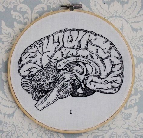 Anatomy Embroidery, Embroidery Designs By Hand, Stitches Design, Brain Anatomy, Hand Embroidery Stitches, Hand Embroidery Patterns, Embroidery Inspiration, Embroidery Tutorials, Embroidery Techniques