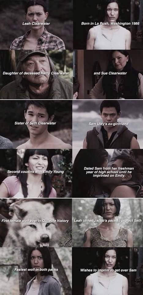 The Wolf Pack Twilight, Twilight Wolf Pack Imprint, Twilight Wolf Pack Memes, Leah Clearwater Fanart, Wolf Pack Twilight, Twilight Leah, Twilight Wolves, Twilight Meme, Sam Uley