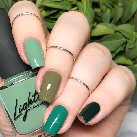 мια🌿 on Instagram: “another green skittle mani? last one for now, I promise😆 I just had to include Central Park, it’s my favorite forest green shade and I just…” Skittle Mani, Nail Paint Shades, Fall Acrylic, Color For Nails, Nails Inspired, Nails Pretty, Nails Green, Inspired Nails, Fall Acrylic Nails