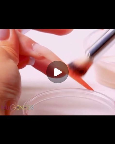 NuGenesis Nails on Instagram: "Create an ombré nail look with NuGenesis dip powder. By following this tutorial video, by Tom Ho, you can achieve a flawless gradient effect using high-quality NuGenesis products ✨ 

To achieve the ombré effect, you’ll need a small brush or a sponge applicator. Dip it into the darker NuGenesis dip powder. 

Starting at the tip of your nail, gently dab the darker powder, gradually blending it upwards. This will create the gradient effect. Use a light hand to ensure a smooth transition between the two colors.

Repeat this process, adding layers as needed until you’re satisfied with the blend.

Visit us at www.nugenesisnails.com to find more nail tutorials 💅🏻 

#nugenesis #nugenesisnails #dippowder #dipnails #dippowdernails #nailpolish #gelnails #nailsofinstag Dip Powder Nails, Ombre Effect, Dip Powder, Tutorial Video, Nail Tutorials, Ombre Nails, Blending, You Nailed It, Dip