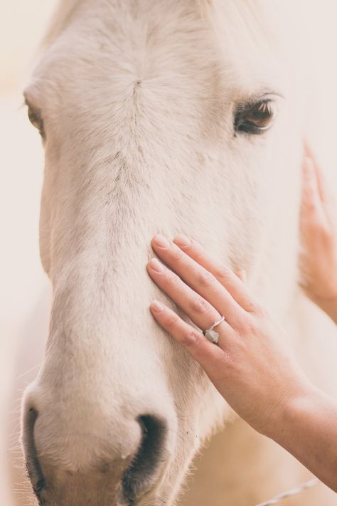 Rebekah and Bret Horse Engagement Photos, Horse Wedding Photos, Horse Couple, Mode Country, Horse Photography Poses, Equestrian Wedding, Wedding Fotos, Western Engagement, Horse Wedding