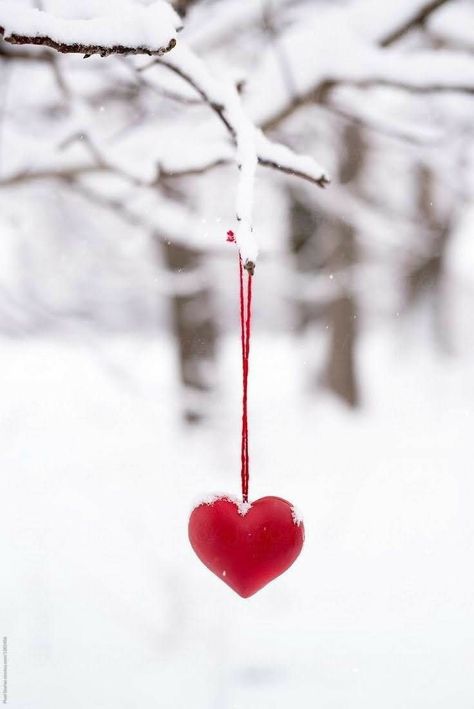 Christmas Heart Wallpaper, Christmas Food Photography, Winter Heart, Winter Christmas Scenes, Happy Valentines Day Images, Love Heart Images, Romantic Christmas, Christmas Hearts, Heart Images