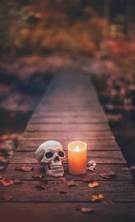 Hd Iphone Wallpaper, Skull Candles, Brandon Woelfel, Stuffed Pumpkin, Creepy Stuff, Fall Stuff, Witchy Wallpaper, Pretty Pics, Halloween Wallpaper Iphone