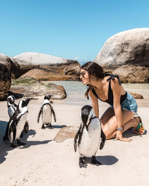 Boulders Beach, Boulder Beach, Africa Do Sul, Africa Fashion, Love At First, Love At First Sight, Cape Town, Bouldering, Art Direction