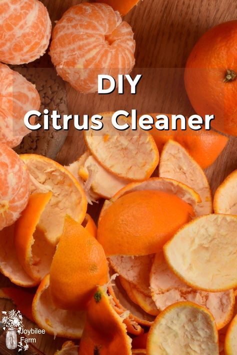 Learn how to make your own citrus cleaner using the peels from any citrus. Citrus cleaner is antiseptic, anti-fungal, antibacterial, and neutralizes odours. Don't throw away your peels, make your own cleaning solution instead! Zero waste that will save you money and make your home smell great! Mask Required, Citrus Cleaner, Sustainable Diy, All Natural Cleaners, Homemade Stuff, Natural Cleaning, Natural Cleaners, Wild Edibles, Cleaning Recipes