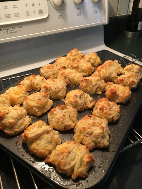 Cheese Scones Recipe Easy, Cheese Scones Recipe, Cheesy Scones, The Best Scones, Best Scones, Cheese Scone Recipes, Scones Recipe Easy, Cheese Scones, Scones Recipe