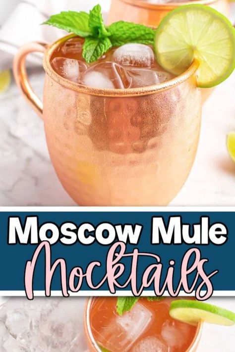 Ginger Beer Mocktail Recipe, Virgin Moscow Mule, Ginger Mojito, Easy Mocktails, Mojito Mocktail, Moscow Mule Recipe, Mule Recipe, Non Alcoholic Cocktails, Liquid Stevia