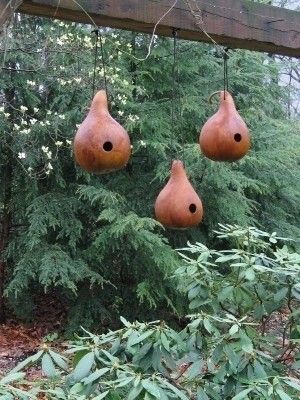 How to Make a Gourd Birdhouse | ThriftyFun Large Bird Houses, Bottle Gourd, Bird House Plans, Gourds Birdhouse, Bird House Kits, Bird Aviary, Birdhouse Designs, Deco Nature, Gourds Crafts