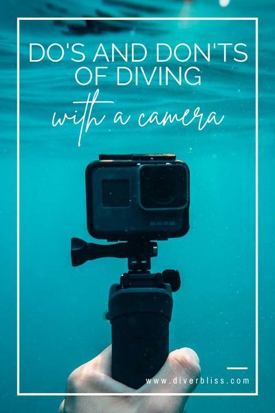 Snorkeling Pictures, Wildlife Photography Tips, Scuba Diving Courses, Best Landscape Photography, Scuba Diving Photography, Rescue Diver, Scuba Diving Equipment, Wildlife Travel, Best Scuba Diving