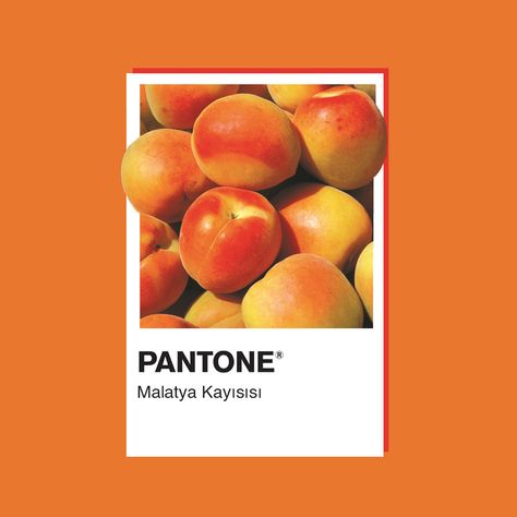 Pantone Türkiye Pantone Art Print, Pantone Design Graphics, Pantone Graphic Design, Colour Campaign, Pantone Design, Color Concept, Concept Board, Poster Colour, Design Advertising