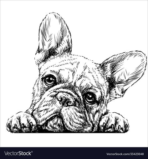 Frenchie Drawing, French Bulldog Vector, Bulldog Vector, French Bulldog Drawing, French Bulldog Painting, Bulldog Drawing, French Bulldog Tattoo, Pyrography Designs, Bulldog Tattoo