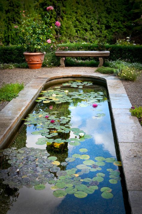 A gravel patio surrounds the elegant koi pond, and stone benches are placed throughout the space to allow people to enjoy the tranquility. Small Garden Backyard, Pond Gazebo, Aquariums Ideas, Garden With Pond, Mermaid Palace, Backyard Waterfall, Large Backyard Landscaping, Garden Ponds, Design Backyard