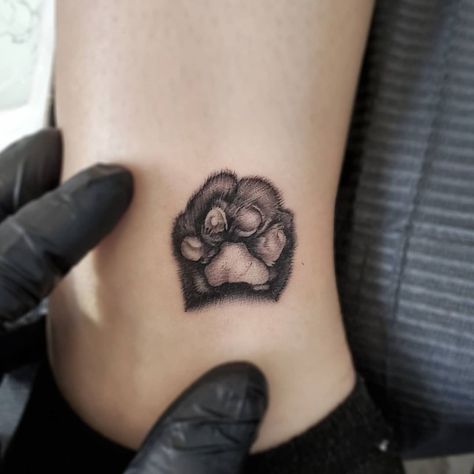 Cat Paw Tattoo, Simple Cat Tattoo, Cat Paw Tattoos, Black Rose Tattoo, Paw Cat, Prison Tattoos, Canada Quebec, Circle Tattoos, Black Rose Tattoos