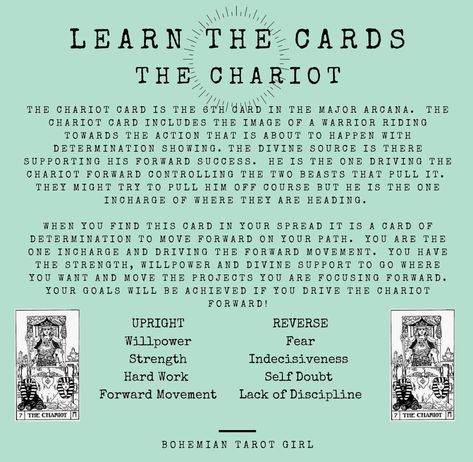 The Chariot Tarot Meaning, Tarot Beginner, Tarot Knowledge, Tarot Symbols, Tarot Study, Chariot Tarot, The Chariot Tarot, Tarot Guidebook, Tarot Reading Spreads