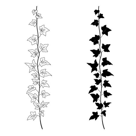 Premium Vector | Ivy branch line art and silhouette vector monochrome botanical sketch isolated on white creeper plant White Creepers, Ivy Tattoo, Creepers Plants, Vine Drawing, Mom Daughter Tattoos, Plant Sketches, Elephant Pictures, Ivy Vine, Leaf Silhouette