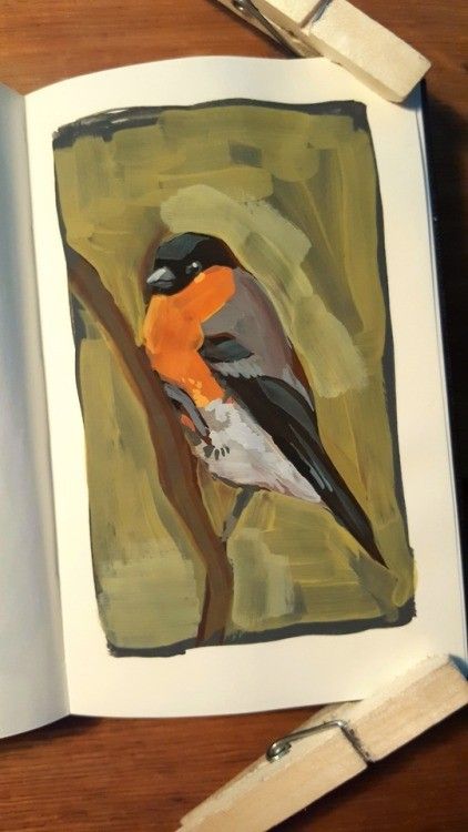 Animal Photography Wildlife, Notebook Art, Gouache Art, Small Canvas Art, Painting Art Projects, Art Drawings Sketches Simple, Gouache Painting, Art Block, Birds Painting