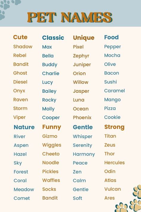 Cute Name For Plushies, Pet Names For Partner, Pet Names For Girlfriend, Names For Pets, Female Pet Names, Funny Pet Names, South African Names, Naming Characters, Deco Sims