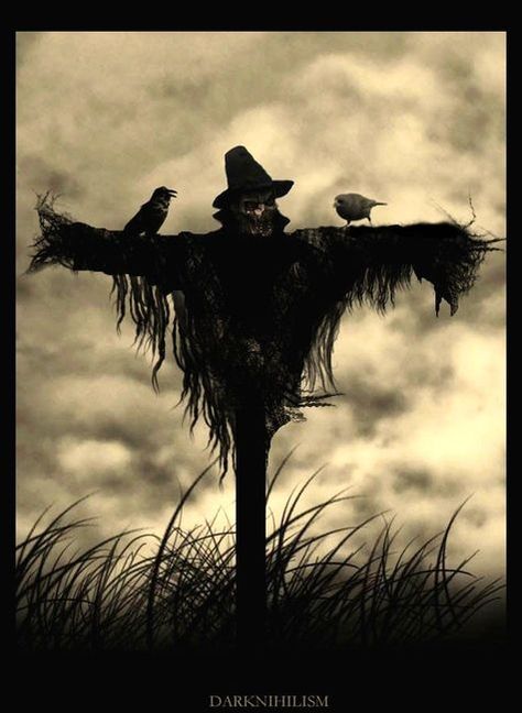 Scarecrow Homemade Scarecrows, Halloween Scarecrows, Images Terrifiantes, Scary Scarecrow, Make A Scarecrow, Imagenes Dark, Origin Of Halloween, Prim Crafts, Spooky Things