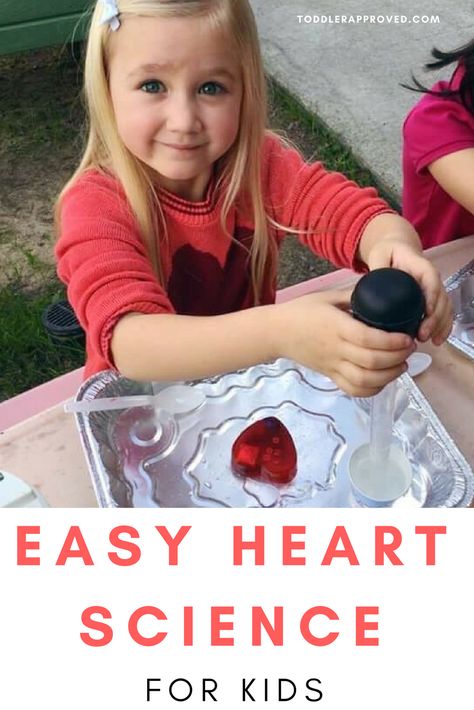 Easy Frozen Heart Science Activity for Toddlers and Preschoolers Science Activity For Toddlers, Heart Health Activities, Heart Activities, Science Activities For Toddlers, Heart Science, Science Valentines, Letter Sound Activities, Activity For Toddlers, Frozen Heart