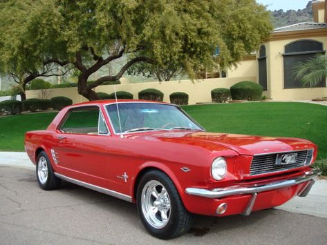 1964 Ford Mustang - Pictures - CarGurus 1964 Mustang, 1964 Ford Mustang, Mustang 1964, Ford Mustang 1964, 2017 Ford Mustang, Ford Mustang Coupe, Mustang For Sale, Ford Mustang For Sale, Ford Mustang Convertible