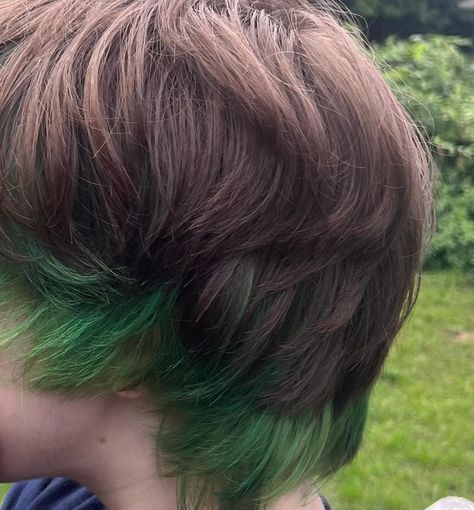 third client was mr. charlie! new look for back to school with a fun pop of color. had so much fun doing this! reference of where we started at the end! first time doing short hair & he chose where he wanted the color! we both were so stoked. #greenhair #littlecousin #family #arcticfox #naturelovers #shaggyhair #color Peekaboo Hair On Short Hair, Short Hair Peekaboo, Peekaboo Hair Color Short, Peekaboo Hair Dye, Peekaboo Hair Color, Peekaboo Hair Colors, Peekaboo Hair, Shaggy Hair, Short Hair Color