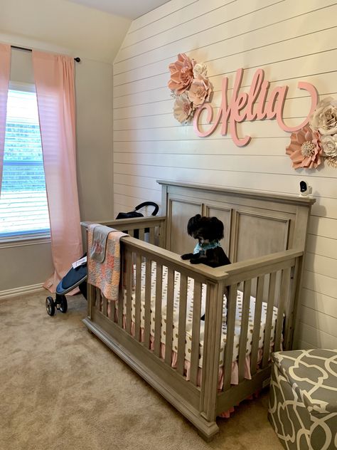 Shiplap nursery with customs wood name Pink Accent Wall Nursery, Kids Boho Room, Wood Wall Nursery, Shiplap Nursery, Pink Accent Walls, Pink And Gray Nursery, Nursery Accent Wall, Room Boy, Gray Nursery