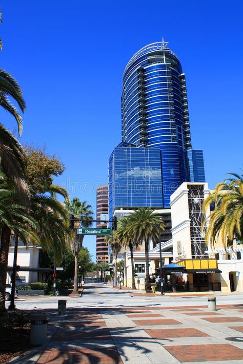 Downtown Orlando, Florida, USA. A view of downtown Orlando, Florida, USA, lookin #Sponsored , #AD, #Sponsored, #Orlando, #downtown, #lookin, #Florida Orlando Downtown, Downtown Orlando, Florida Usa, Orlando Florida, Willis Tower, Birds In Flight, Orange County, Palm Trees, Orlando