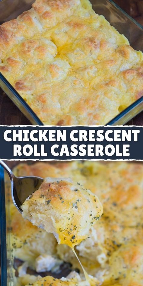 Chicken Crescent Roll Casserole, Crescent Roll Casserole, Crescent Roll Recipes Dinner, Chicken Crescent Rolls, Chicken Crescent, Crescent Recipes, Ground Beef Dishes, Cheese Chicken, Crescent Roll Recipes