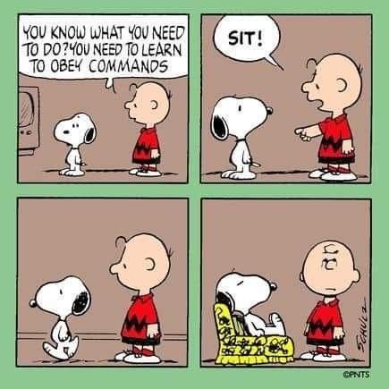 Charlie Brown Quotes, Snoopy Comics, Lucy Van Pelt, Snoopy Cartoon, Peanuts Comic Strip, Snoopy Funny, Cartoon Strip, Peanuts Cartoon, Snoopy Quotes