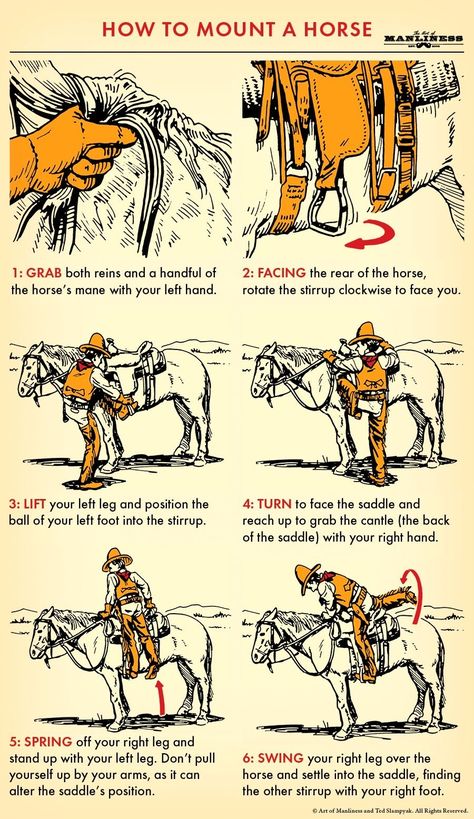 Mounting A Horse, Art Of Manliness, Survival Life Hacks, Survival Techniques, Survival Life, Wilderness Survival, Camping Survival, Survival Prepping, Outdoor Survival