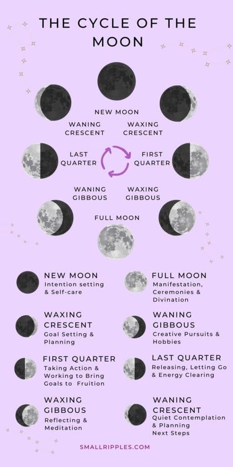 Moon Phases Meaning, Cycle Of The Moon, Lunar Witch, Moon Meaning, The Moon Phases, Lunar Magic, The Phases Of The Moon, Wiccan Magic, New Moon Rituals