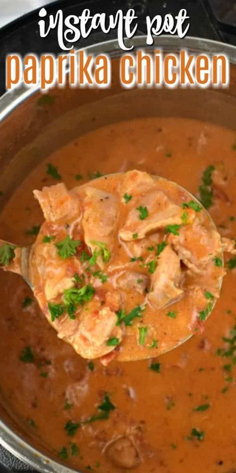 Chicken Paprikash With Dumplings, Chicken And Sauce, Chicken Paprikash Recipe, Paprikash Recipe, Tangy Chicken, Chicken Paprikash, Viral Recipes, Stove Top Recipes, Food Fast