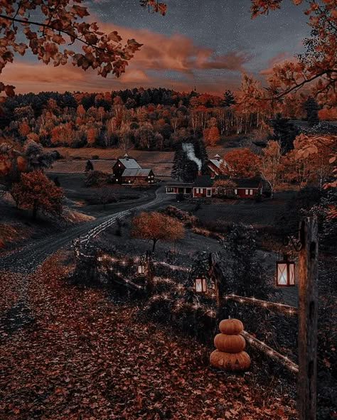 Halloween Facts, Spooky Fall, Fall Beauty, Autumn Magic, Pet Halloween Costumes, Fall Background, Halloween Autumn, Aesthetic Fall, Season Of The Witch