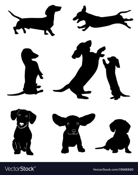 Tattoo Perro, Black Dogs Breeds, Arte Dachshund, Pug Illustration, Dachshund Silhouette, Dog Silhouettes, Dachshund Tattoo, Brown Dachshund, Black Dachshund