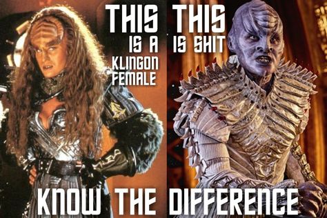 Klingon Women, Star Trek Jokes, Star Trek Meme, Klingon Empire, Star Trek Klingon, Star Trek Online, Star Treck, Star Trek Funny, Star Trek Original Series