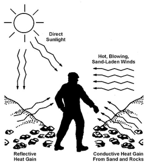 How to survive in extreme, hot conditions (desert survival). #survival #prepper #shtf #survivalist #bushcraft https://www.wildernessarena.com/environment/desert-survival/desert-survival Desert Survival, Dry Desert, Desert Environment, Day Club, How To Survive, In The Wild, Survival Skills, Plant Life, Saving Lives